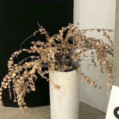 Furry绘画避坑指南福瑞交流群